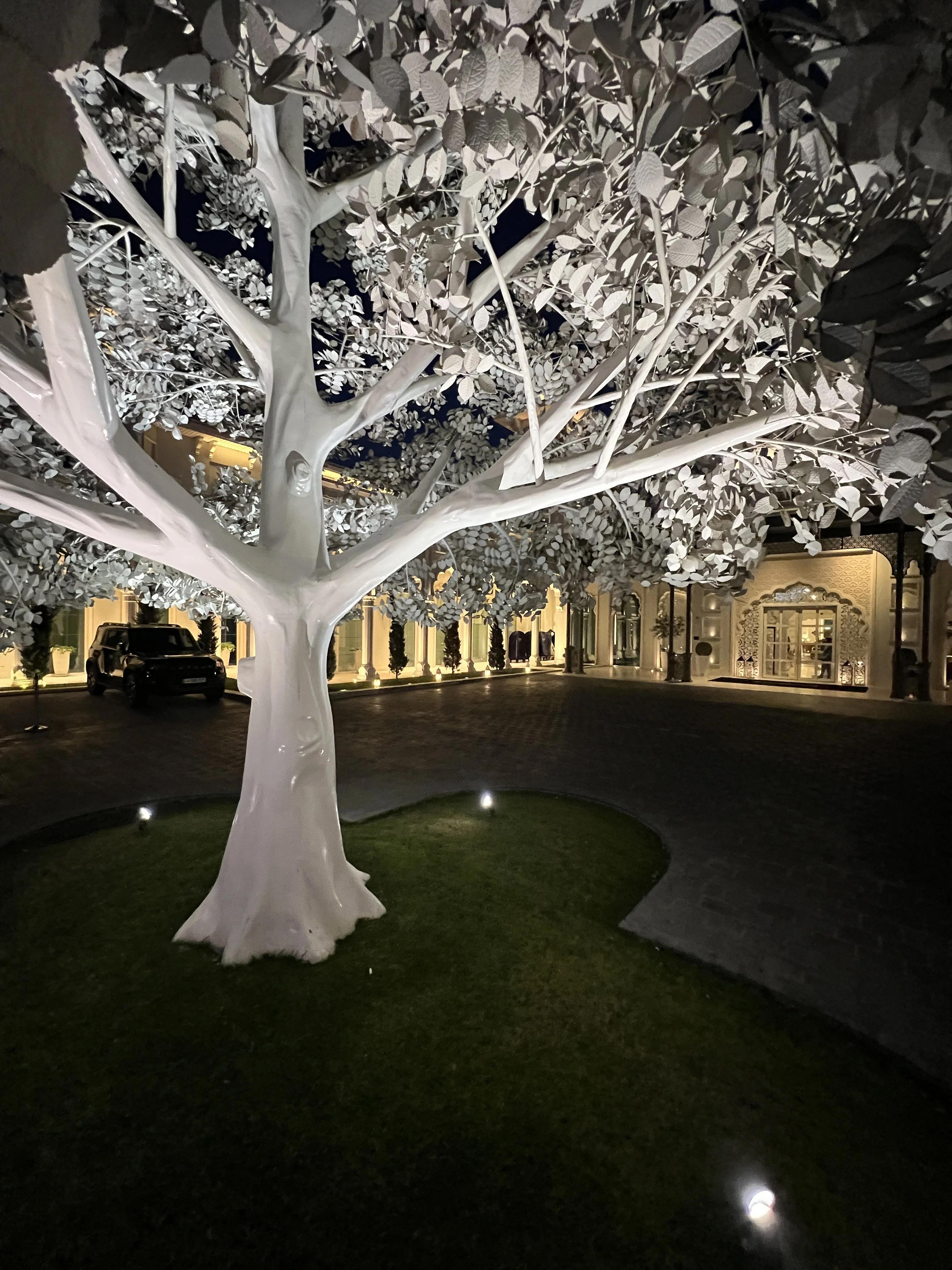 Illuminated white tree sculpture in front of a white colonnaded building at Katara at night