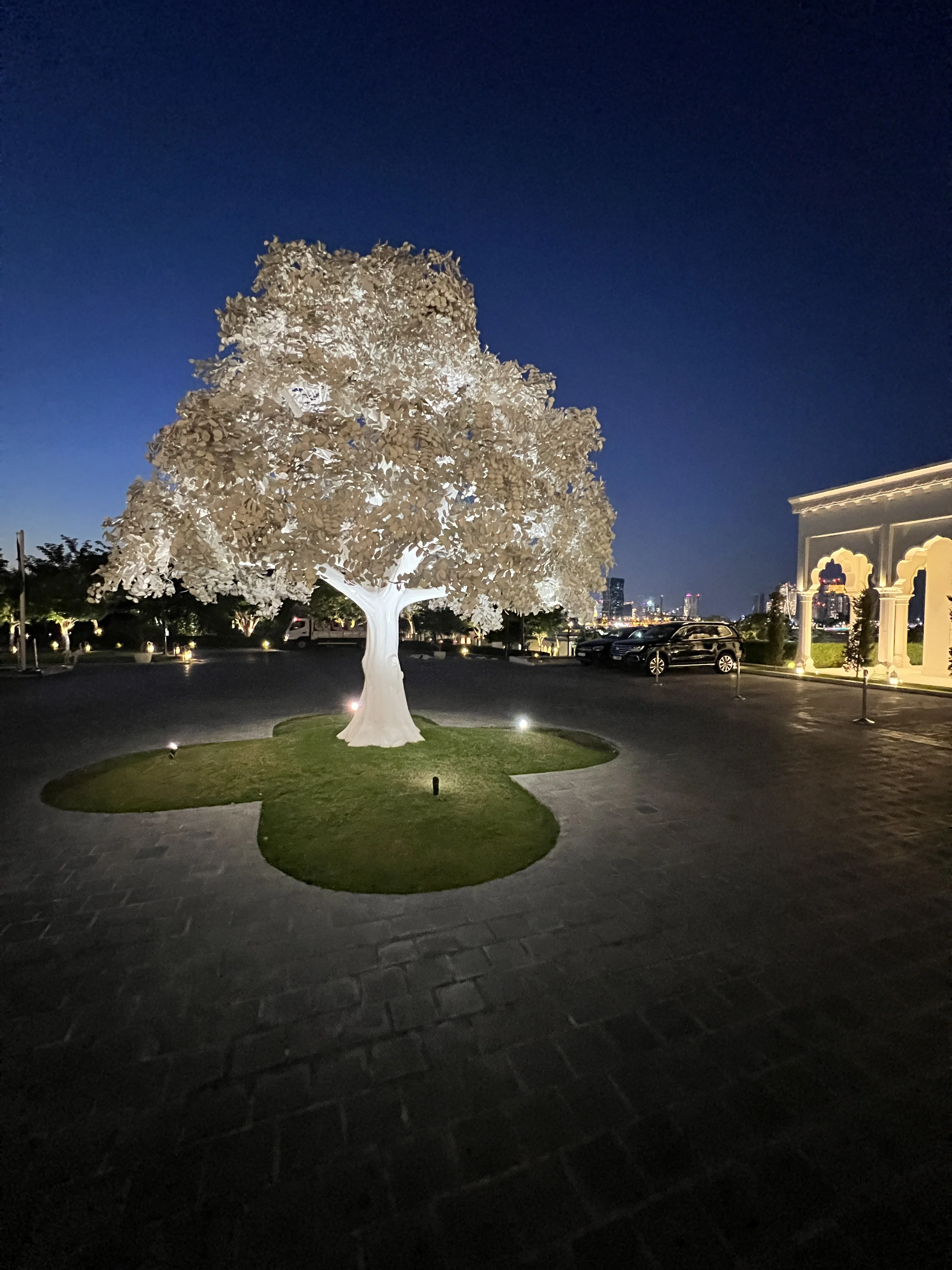 Illuminated white tree sculpture on a courtyard lawn at Katara Cultural Village at night
