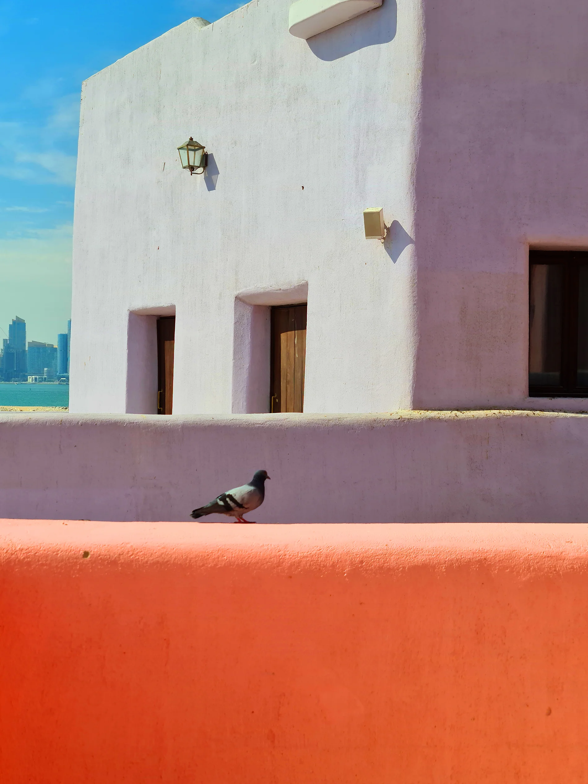Pigeon resting on a coral-coloured rooftop ledge in the Mina District, Doha